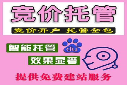 关键词竞价排名实战案例深度解析